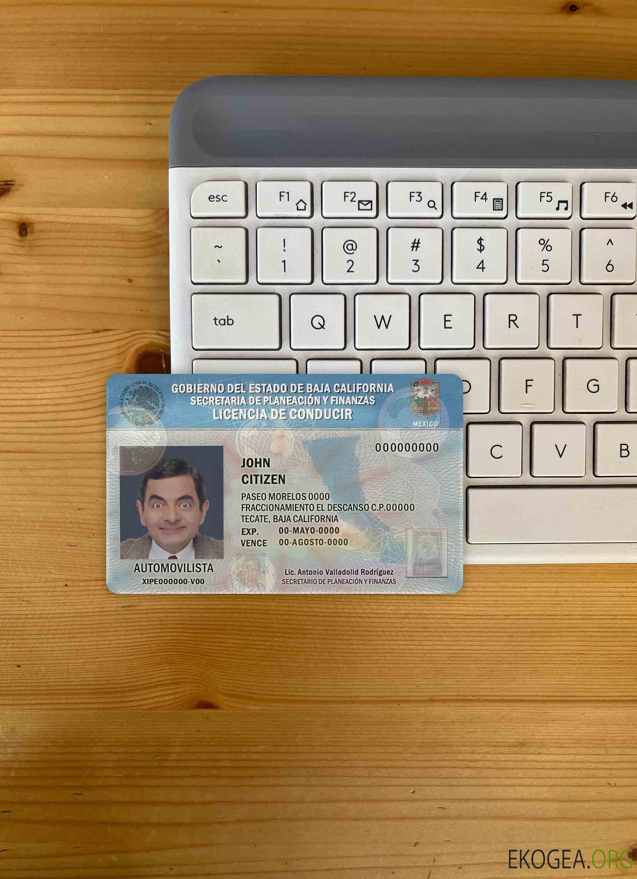 Mexique Baja California permis de conduire photolook AVANT